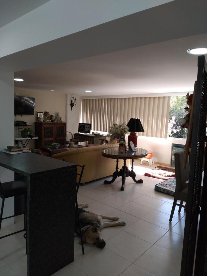 Charming Sunny Bedroom Overlooking Beautiful Amsterdam Avenue In Best Condesa Area Mexico City Exterior photo
