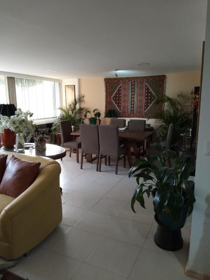 Charming Sunny Bedroom Overlooking Beautiful Amsterdam Avenue In Best Condesa Area Mexico City Exterior photo